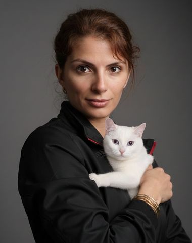 british shorthair breeder turkey ozmen crew cattery